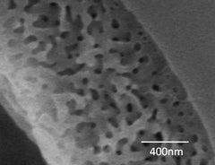 Porous Microspheres